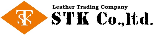 STK Co., Ltd.